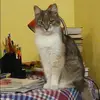 Отзыв от Вера Павловская